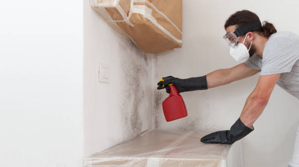 Professional Mold Removal technician working in Barclay, MD